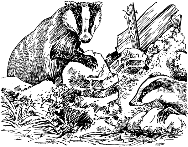 История барсучихи. Мой тайный мир - i_071.png