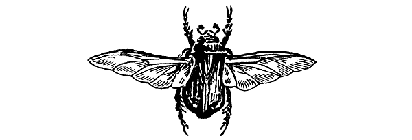 История барсучихи. Мой тайный мир - i_074.png