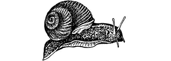 История барсучихи. Мой тайный мир - i_078.png