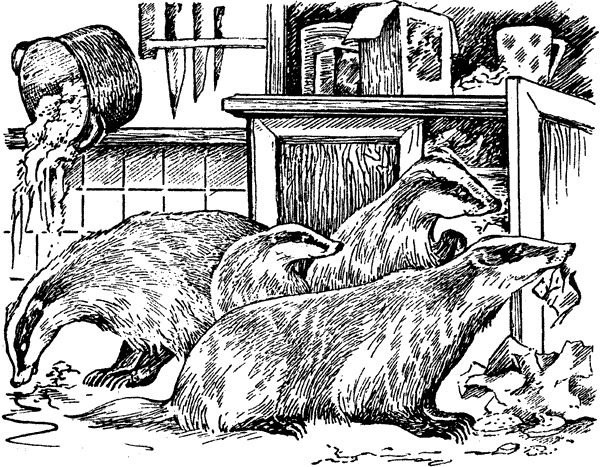 История барсучихи. Мой тайный мир - i_079.png