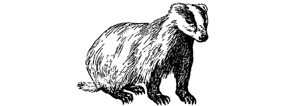 История барсучихи. Мой тайный мир - i_086.png