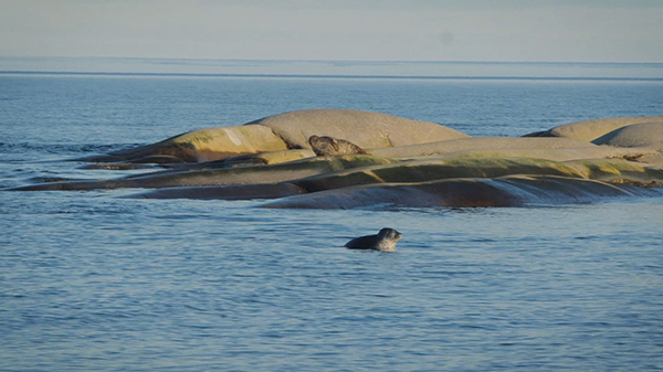 Мосеев остров: колыбель российского флота - _21.jpg
