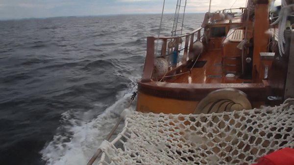 Мосеев остров: колыбель российского флота - _34.jpg