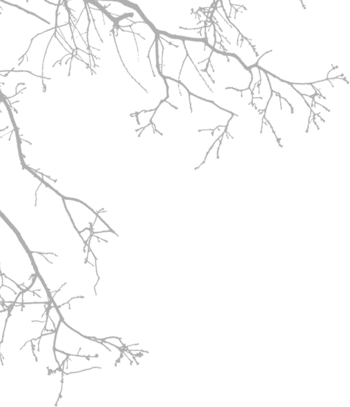 Красота жизни. Дневник Кришнамурти - i_001.png