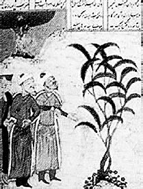 Крест, увитый розами. История, символы и традиции ордена розенкрейцеров - i_011.jpg