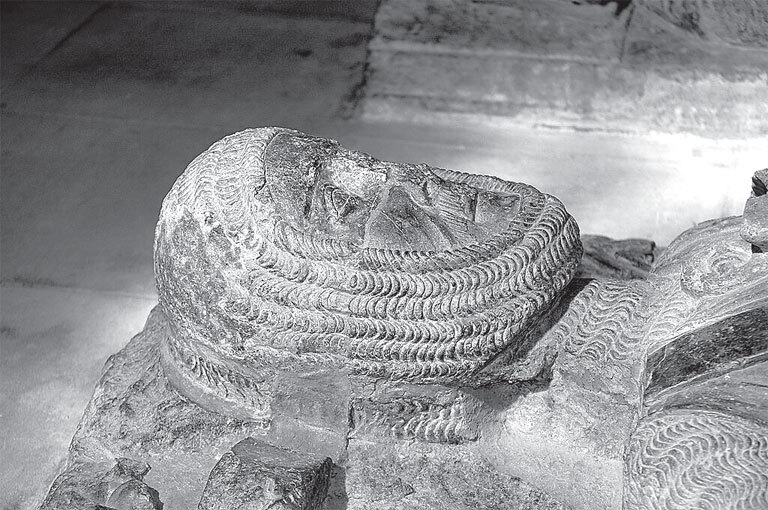 История тела сквозь века - i_031.jpg