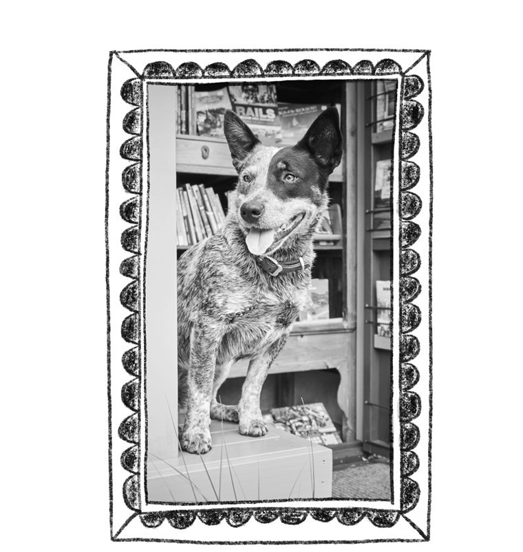 Собаки книжного магазина на краю света - i_003.jpg