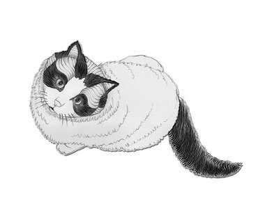 Нэко-кафе. Правила жизни кошек - i_002.jpg