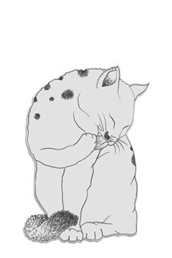 Нэко-кафе. Правила жизни кошек - i_003.jpg