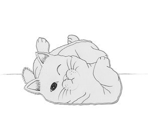 Нэко-кафе. Правила жизни кошек - i_004.jpg