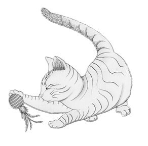 Нэко-кафе. Правила жизни кошек - i_005.jpg