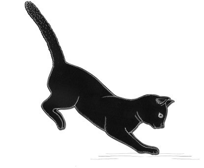 Нэко-кафе. Правила жизни кошек - i_007.jpg