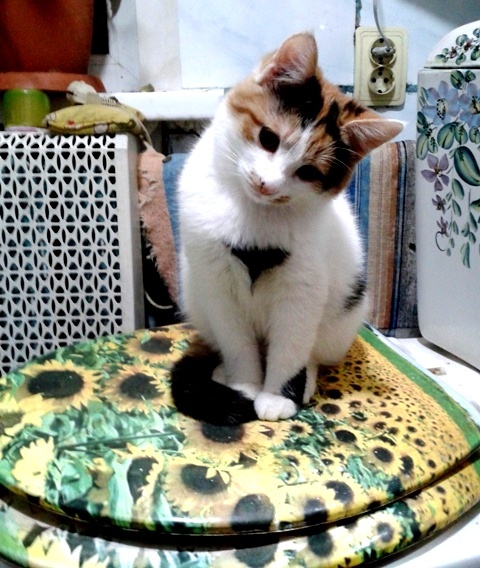 Элегия - _1.jpg