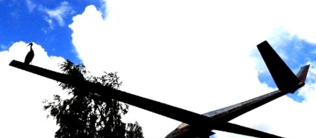 Элегия - _3.jpg