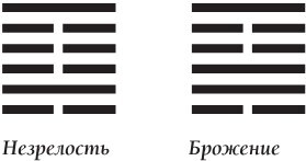 Искусство управления переменами. Знаки и крылья - i_009.jpg