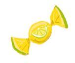 Подарок для Деда Мороза, или Похищение новогодней ёлки - i_006.jpg