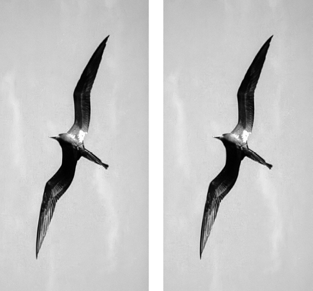 Апейрогон. Мертвое море - i_004.jpg