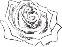 Цветы для миссис Харрис - i_003.png