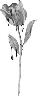 Королева восстанет - i_001.png