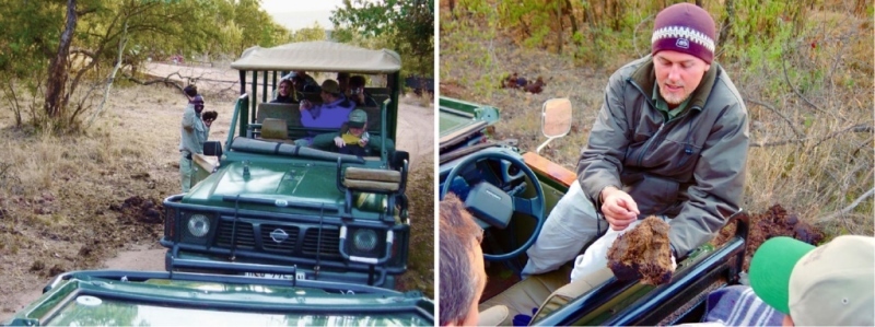 Дикая Африка: Лимпопо - _23.jpg