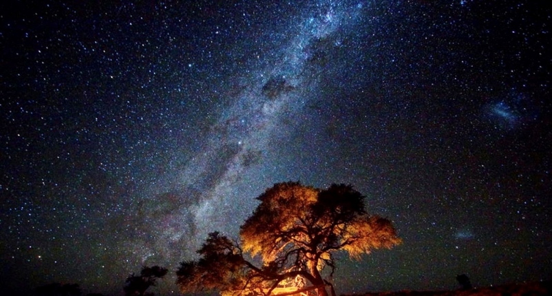 Дикая Африка: Лимпопо - _36.jpg