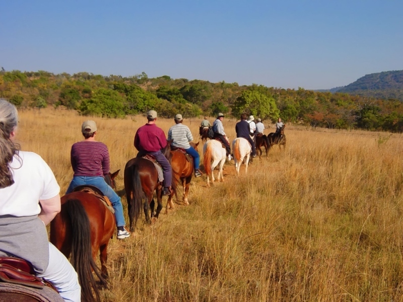 Дикая Африка: Лимпопо - _42.jpg