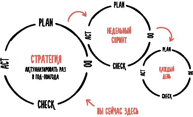 Тайм-менеджмент для тех, у кого лапки. Как управлять рутиной и работой так, что избежать хаоса и чувствовать себя полным сил - i_015.jpg