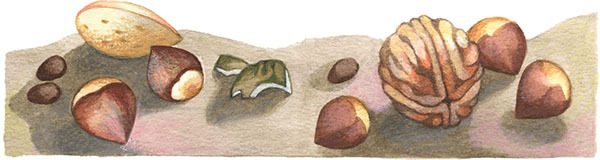 Комплект книг: «Щелкунчик и Мышиный король», «Снежная королева», «Синяя птица» - i_015.jpg