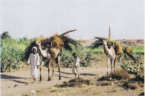 200 дней на юг: автостопом из Москвы в южную Африку - i_032.jpg