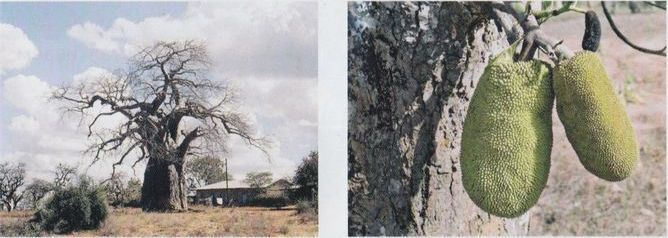 200 дней на юг: автостопом из Москвы в южную Африку - i_052.jpg