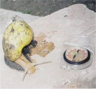 200 дней на юг: автостопом из Москвы в южную Африку - i_062.jpg