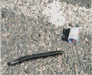 200 дней на юг: автостопом из Москвы в южную Африку - i_064.jpg