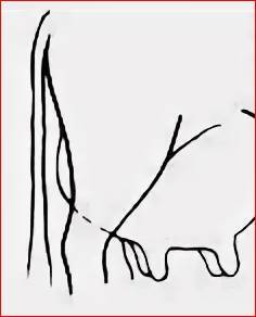 Табас-арранские поговорки с переводом на русский язык - _14.jpg