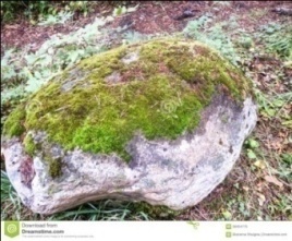 Табас-арранские поговорки с переводом на русский язык - _23.jpg