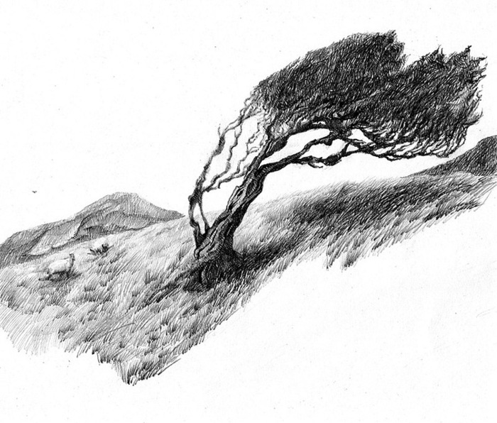 Табас-арранские поговорки с переводом на русский язык - _4.jpg