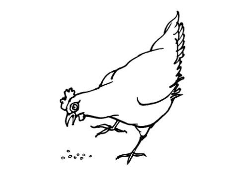 Табас-арранские поговорки с переводом на русский язык - _48.jpg