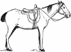 Табас-арранские поговорки с переводом на русский язык - _54.jpg