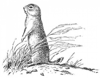 Табас-арранские поговорки с переводом на русский язык - _58.jpg