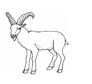 Табас-арранские поговорки с переводом на русский язык - _69.jpg