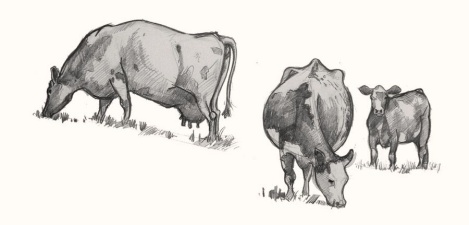 Табас-арранские поговорки с переводом на русский язык - _72.jpg