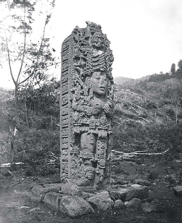 Творение. История искусства с самого начала - i_119.jpg