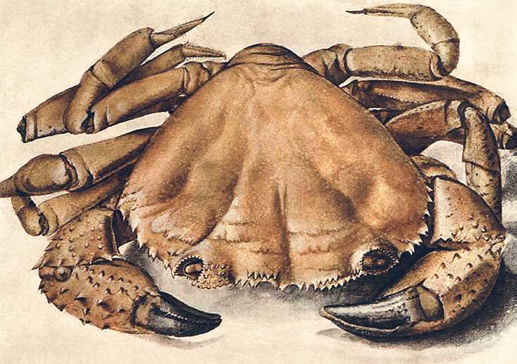 Творение. История искусства с самого начала - i_190.jpg