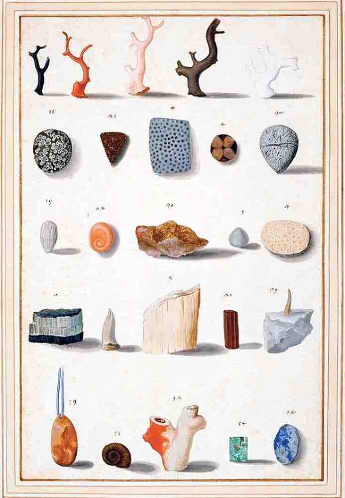 Творение. История искусства с самого начала - i_228.jpg