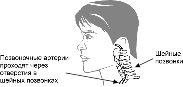 Медицина здоровья против медицины болезней: другой путь. Как избавиться от гипертонии, диабета и атеросклероза, Учебник для родителей. Как зачать, родить и вырастить здорового ребенка. Комплект из 2 книг - i_001.png