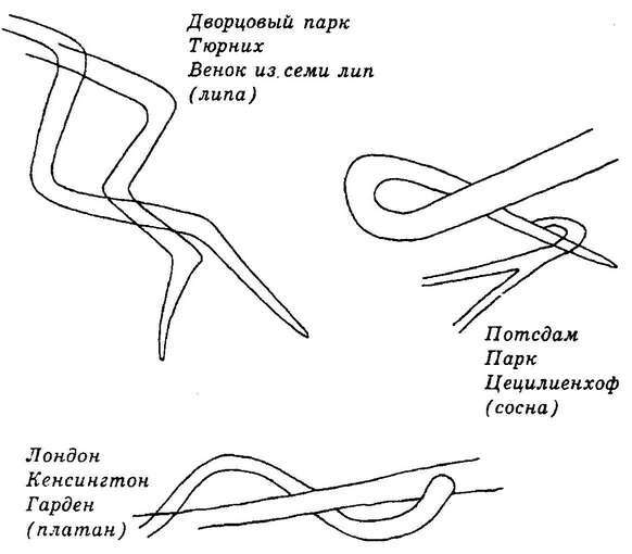 Элементарные существа. Чувственная жизнь Земли - i_015.jpg