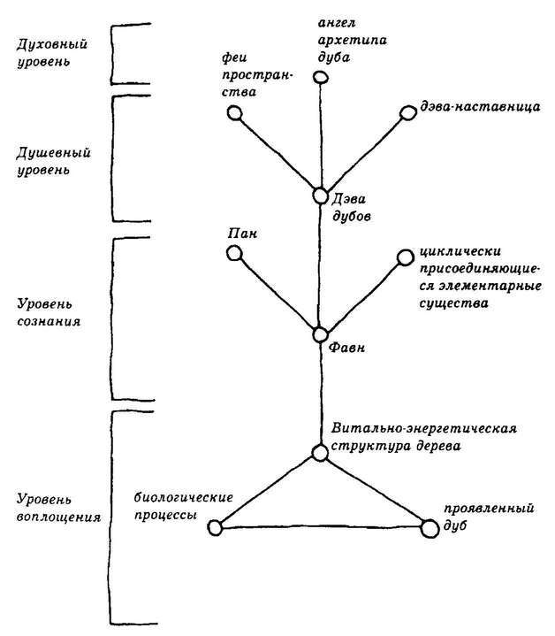 Элементарные существа. Чувственная жизнь Земли - i_037.jpg