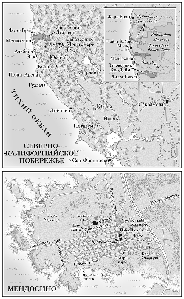 Когда звезды чернеют [Литрес] - i_001.jpg