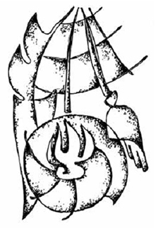 В доме на берегу - i_002.jpg