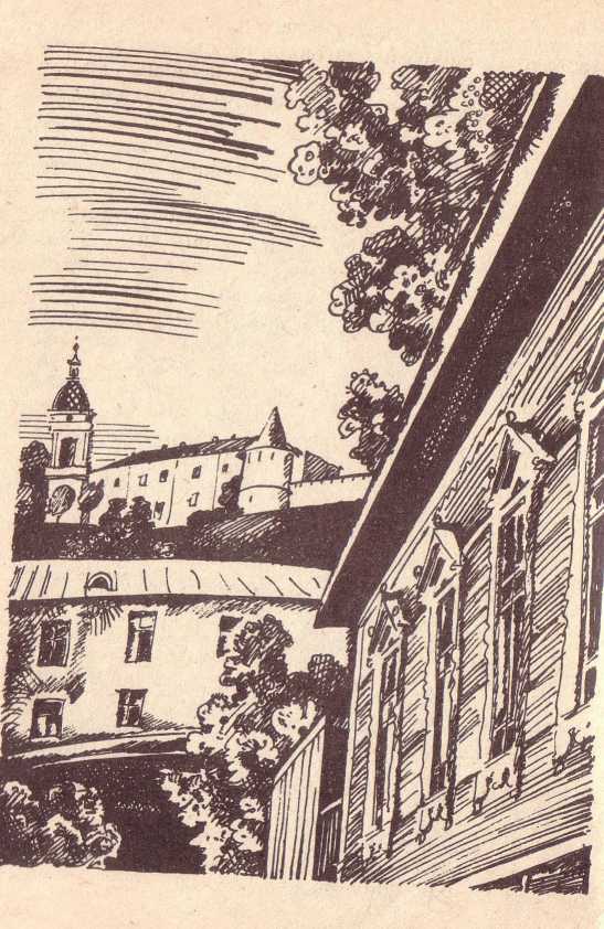 Что нам стоит дом построить - image7.jpg