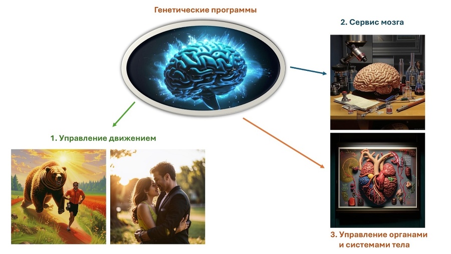 Как мозг управляет внешней политикой - _10.jpg